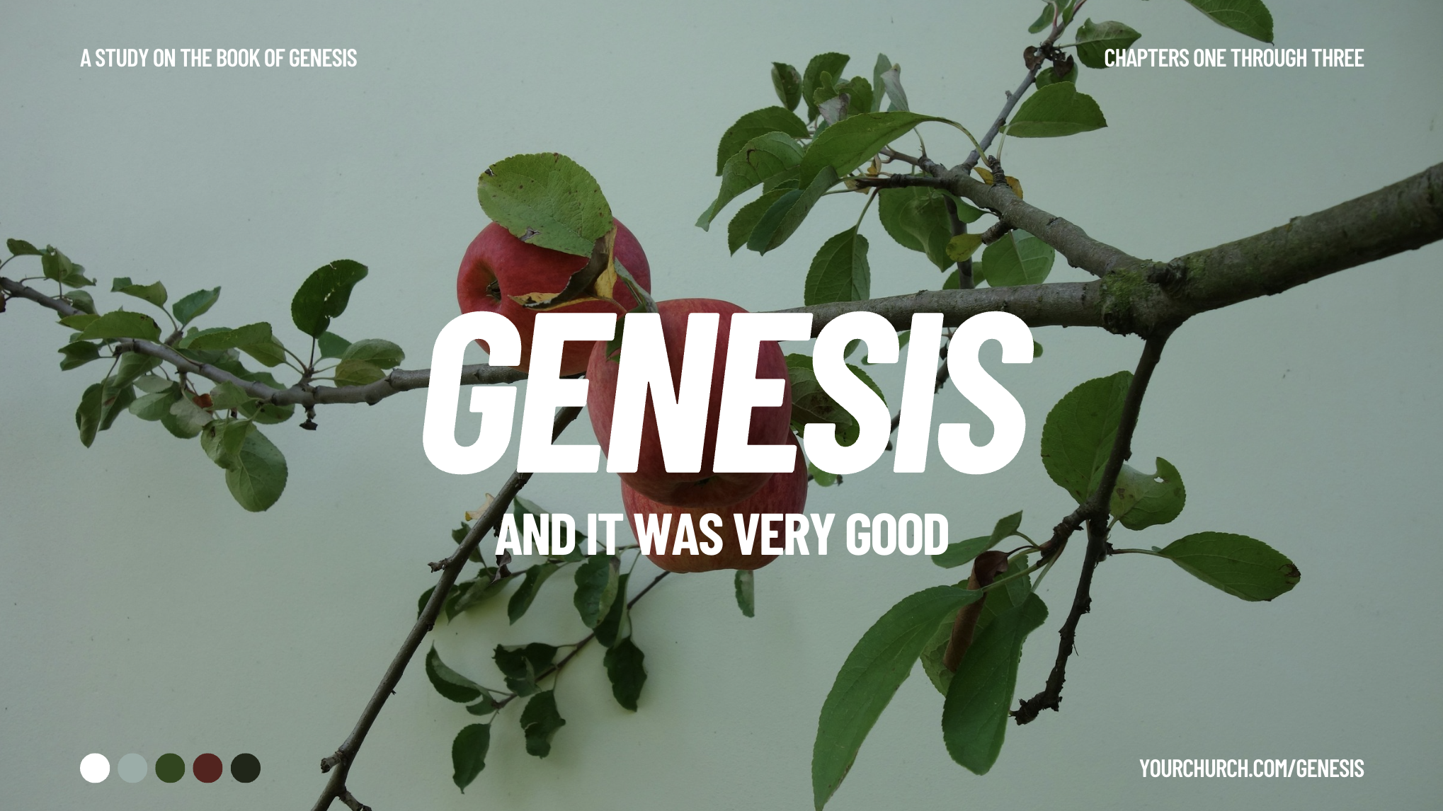 Old Testament: Law & History